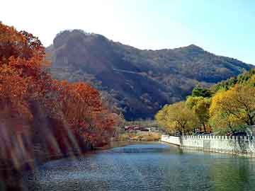 国产 日韩 一区 在线观看，壳牌机油型号